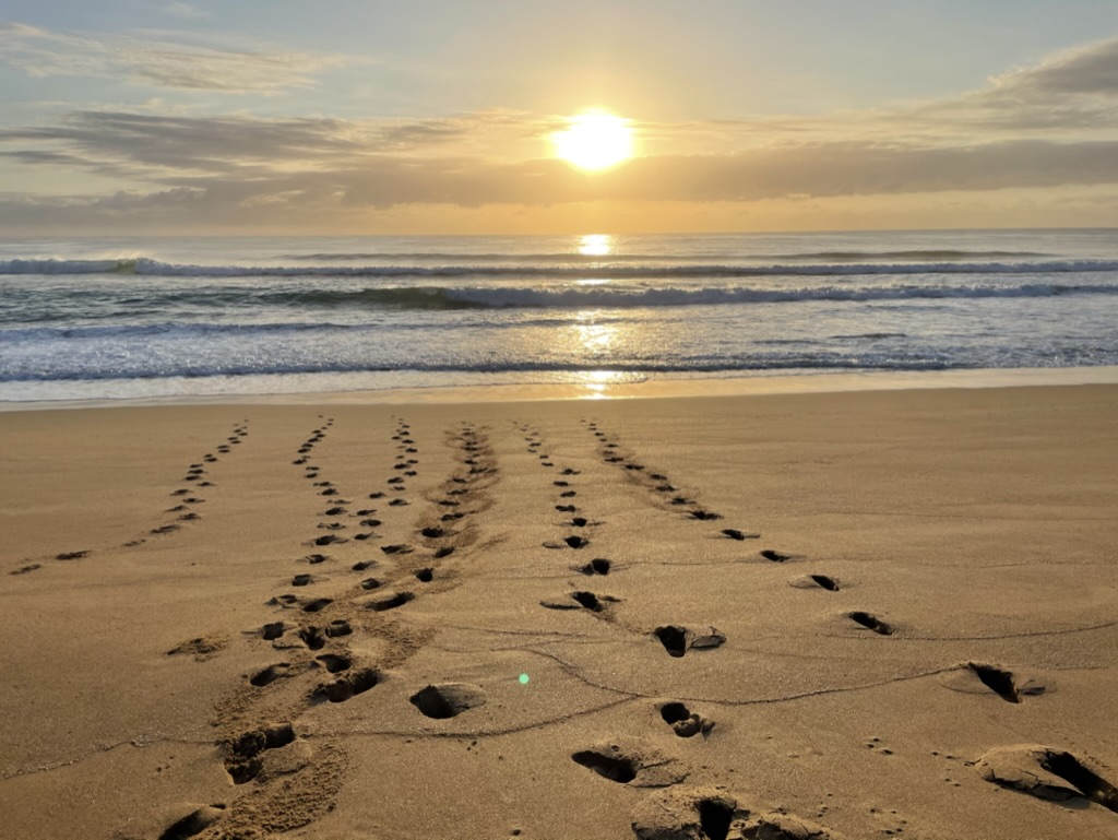 Enhance Life Psychology Albert Park, Nonie Carr Melbourne Psychologist