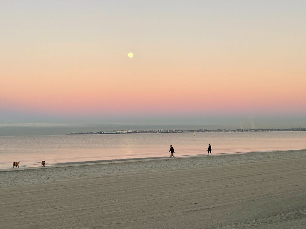 Enhance Life Psychology Albert Park, Nonie Carr Melbourne Psychologist