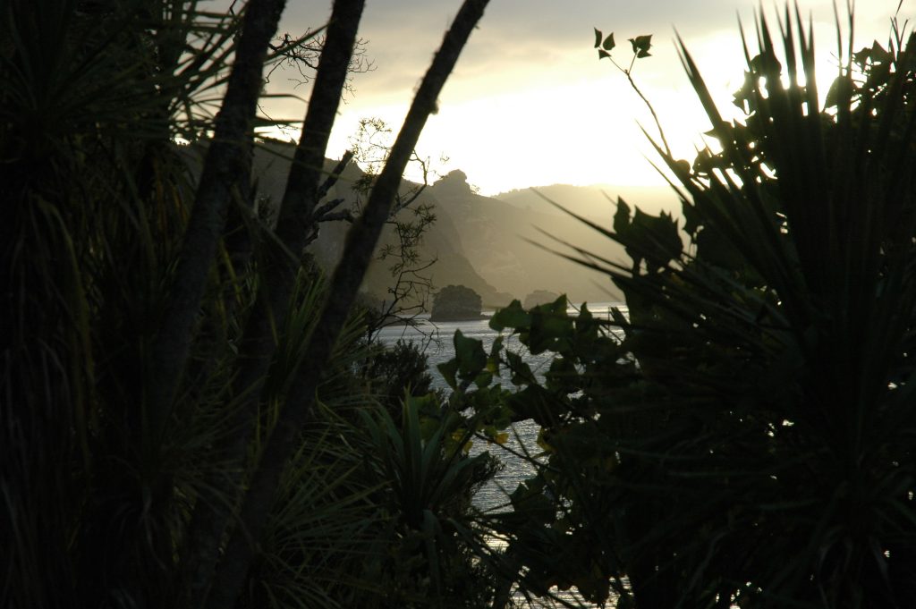 Sunlight over a coastal landscape framed by dense foliage and water, illustrating natural environments linked to mental health and nervous system regulation