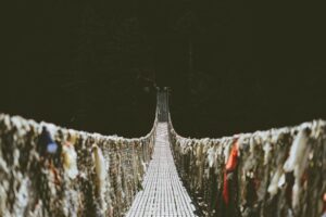 Taking a leap by walking a rope bridge 