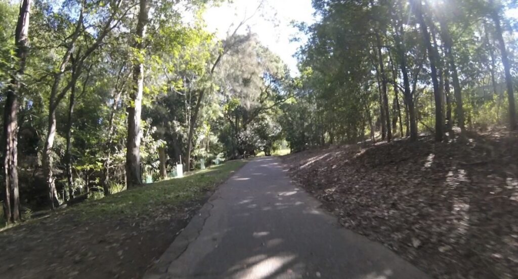 A quiet paved path winding through trees, suggesting space and forward movement.