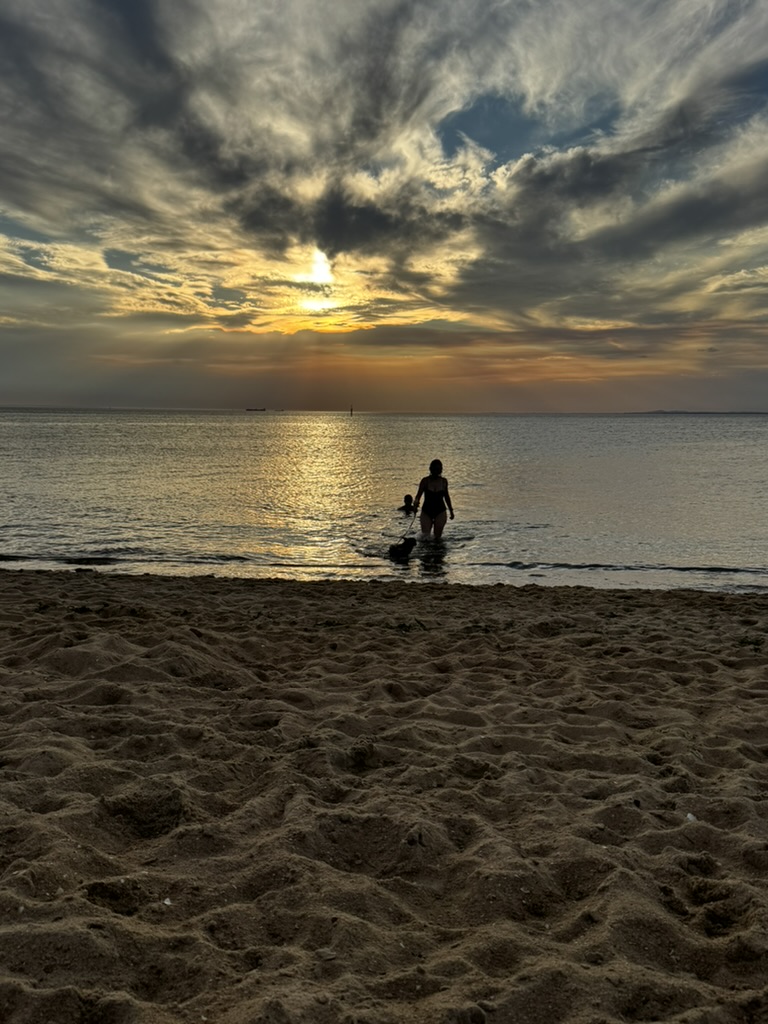 Silhouette of a person and dog walking into calm water at sunset, with golden light reflected across the bay.