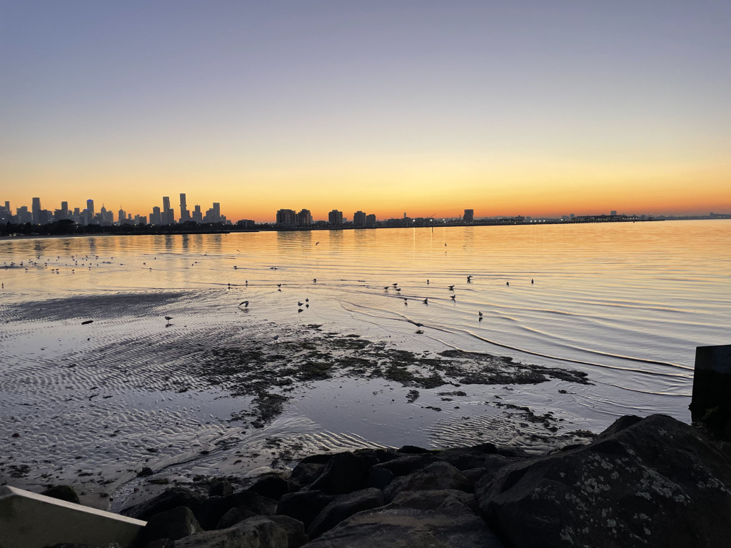 Calm bay at dusk with gentle ripples on the water, birds standing near the shoreline, and a distant city skyline under a soft orange sky.