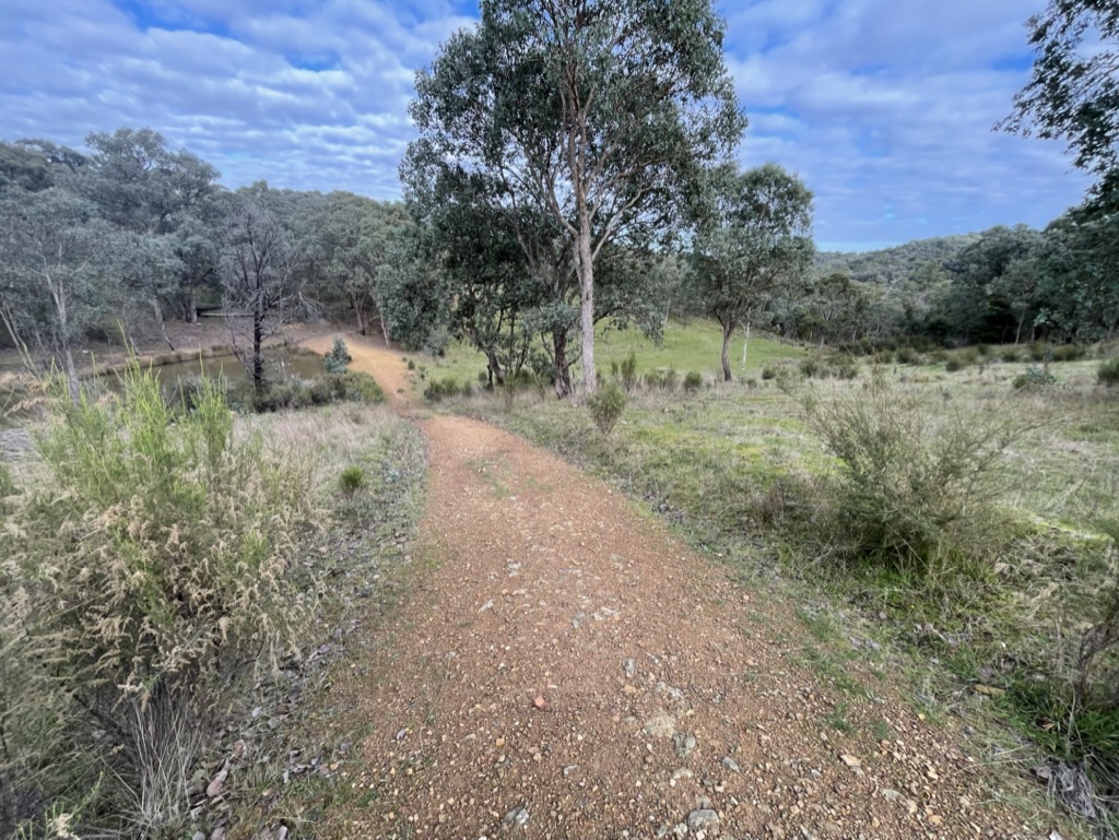 A dirt path stretching forward, symbolising how performance is shaped through repeated preparation before high-pressure moments.