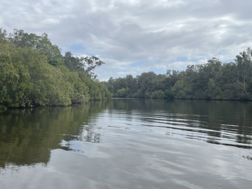 Calm river with gentle ripples, bordered by trees under a soft, overcast sky