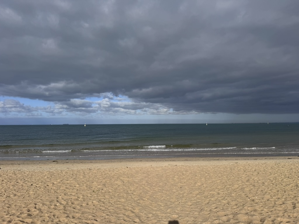 Enhance Life Psychology Albert Park, Nonie Carr Melbourne Psychologist