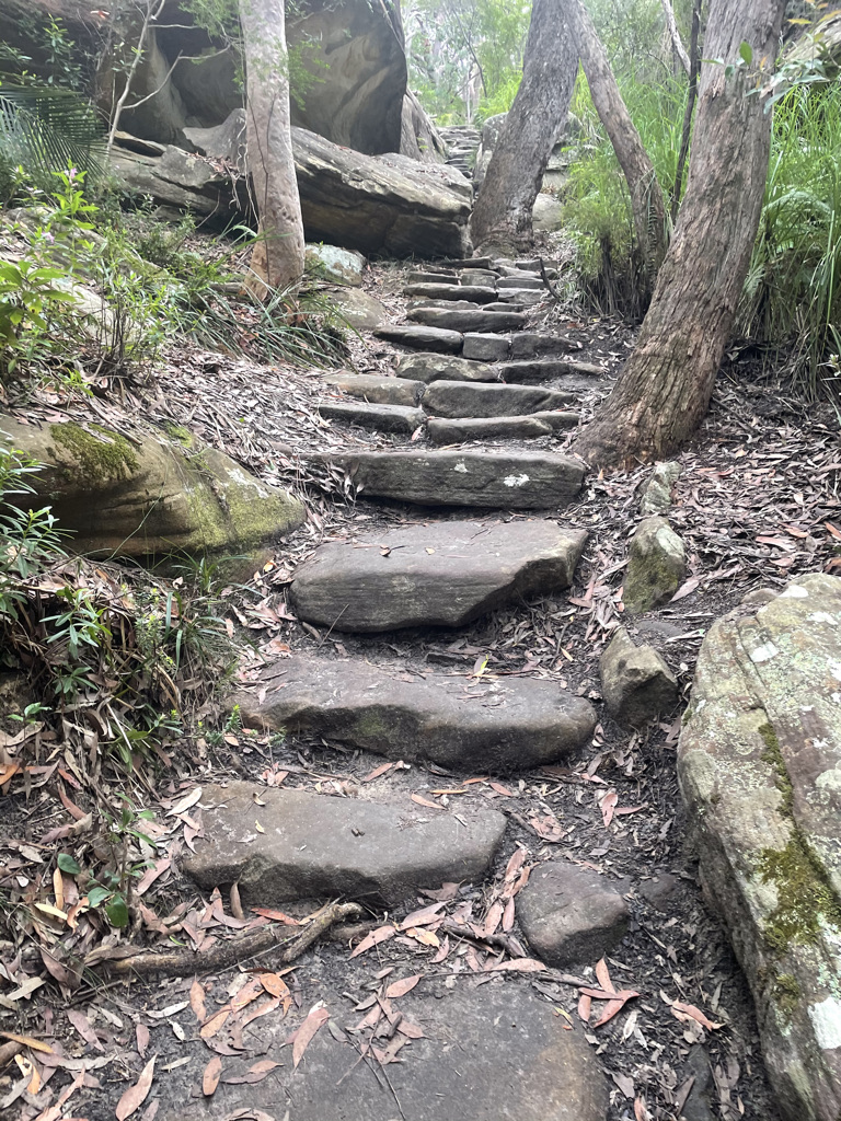 Enhance Life Psychology Albert Park, Nonie Carr Melbourne Psychologist