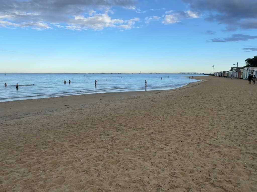 Swimmers in calm open water at Port Phillip Bay on a clear morning, reflecting continuing activity despite uncertainty