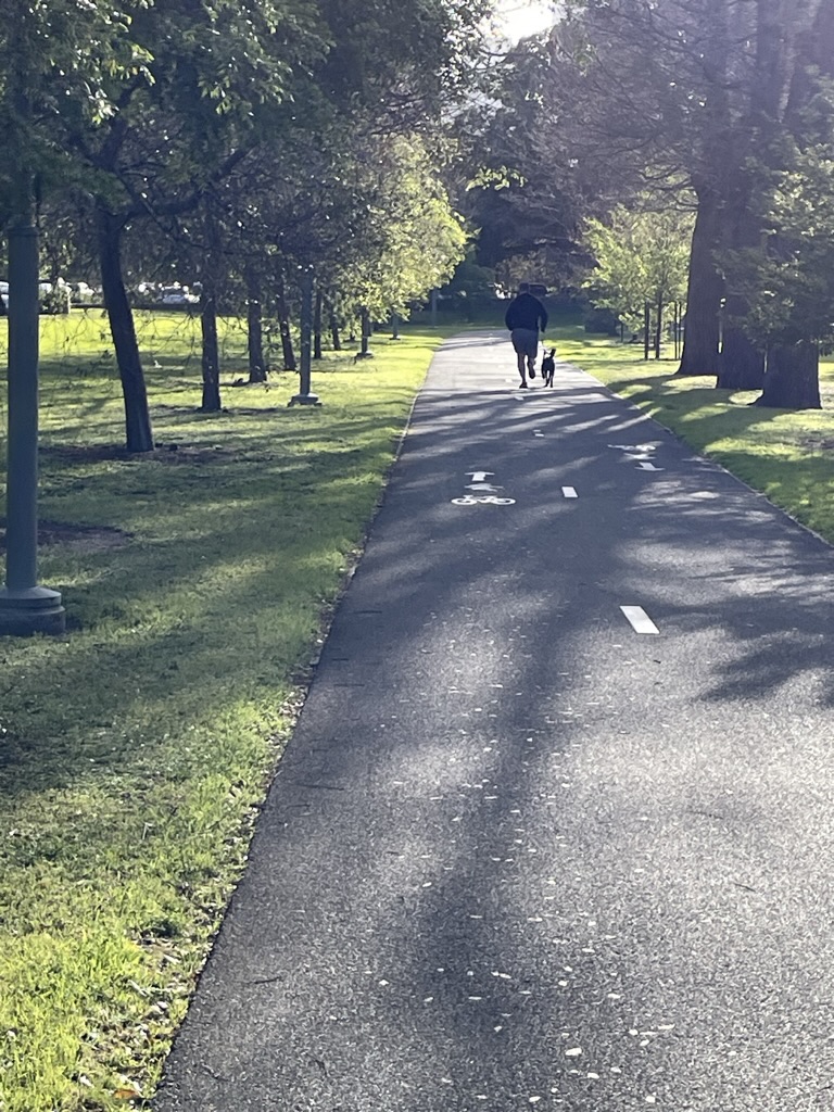 A person walking along a tree-lined path with a dog, moving forward without visible destination or audience.