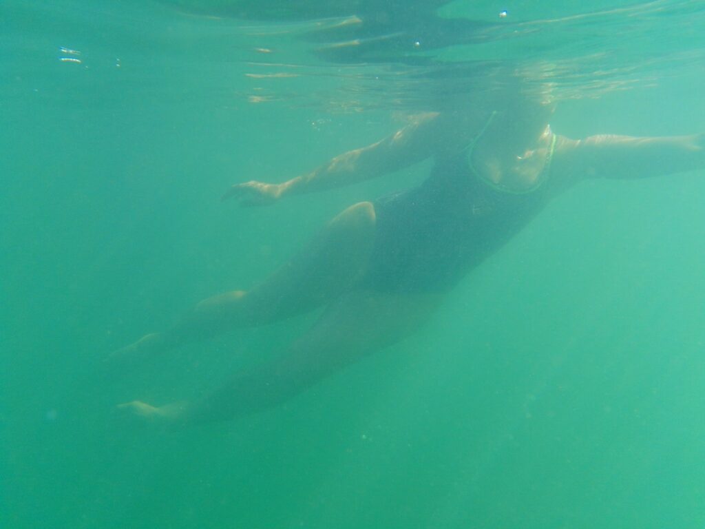 Swimmer moving through low visibility green ocean water beneath the surface in Port Phillip Bay