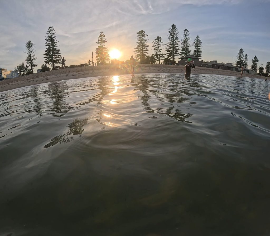 Swimmers preparing to enter calm open water at sunrise, Norfolk Island pines silhouetted against a golden sky
