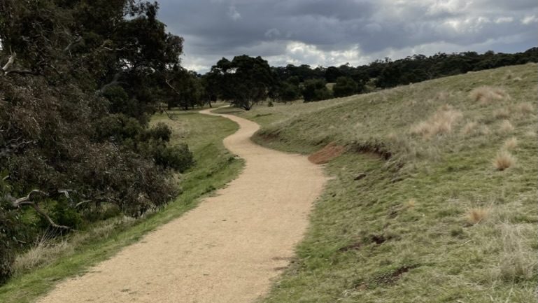 Winding path through open landscape representing shifting attention and direction