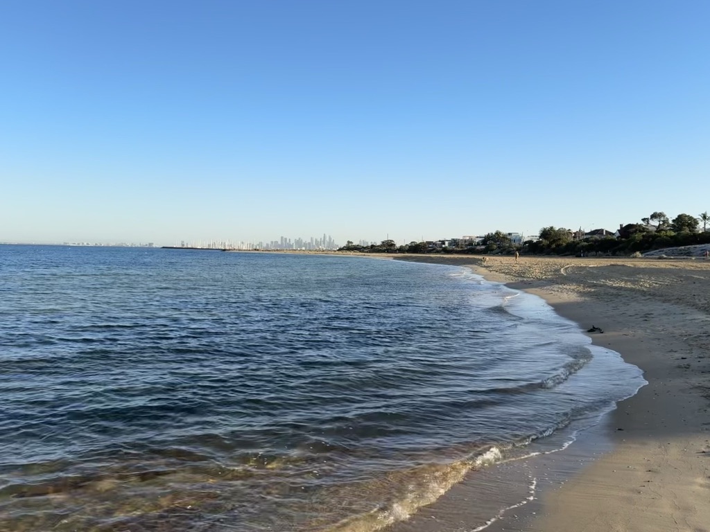Calm shoreline and open water viewed from the beach with the distant city skyline