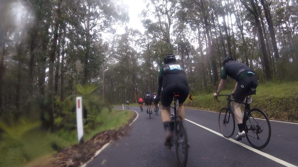 Cyclists riding along a wet forest road during outdoor cycling