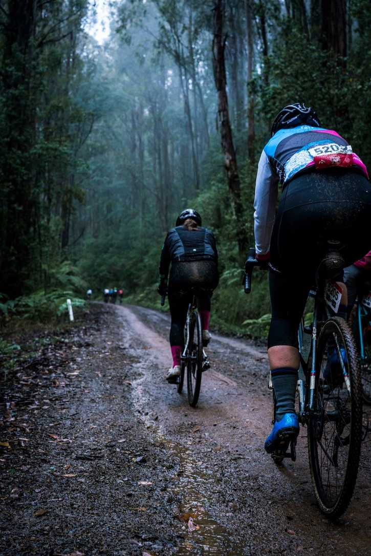 Two cyclists riding from behind on a wet misty forest trail in difficult conditions, race numbers visible, tall eucalypt trees, Warburton Victoria