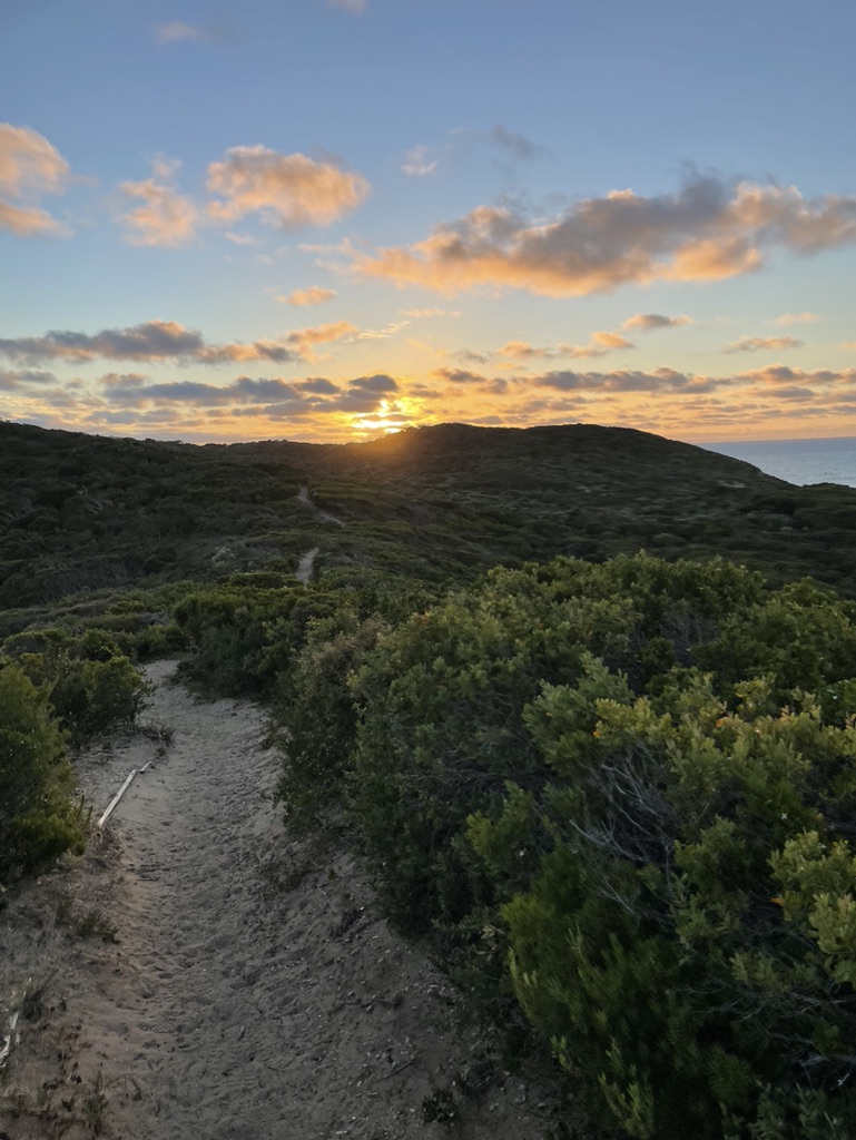 Sandy coastal path winding through low scrubland at dawn on Farnsworth Track, Portsea, Mornington Peninsula Victoria, warm golden sky, sea visible in the distance