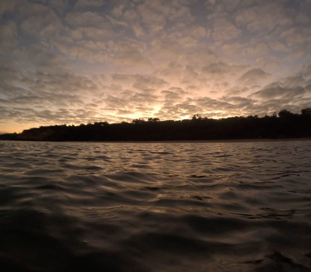 View from water level during an open water swim at dawn at Half Moon Bay, Melbourne, dramatic cloud formations lit by sunrise, dark treeline silhouetted on the horizon
