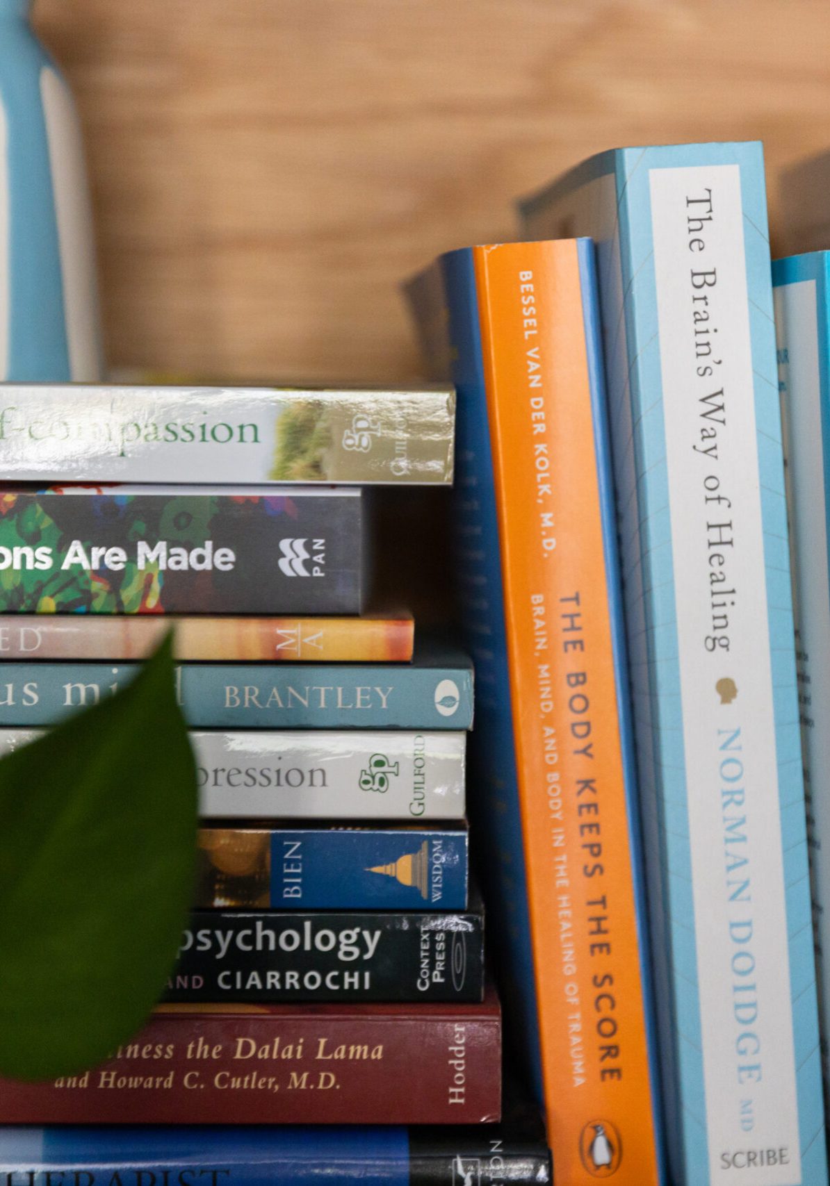 A shelf of psychology and wellbeing books, including titles on emotions, trauma, mindfulness, healing, and resilience, with a plant in the foreground.